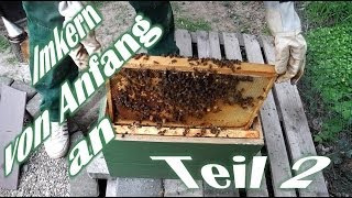 Imkern von Anfang an  Teil 2  Der erste Ableger  Das erste Bienenvolk  Bienen für Anfänger [upl. by Lewap]