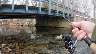 TROUT LOVE THIS BAIT Creek Fishing [upl. by Edorej]