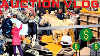 A TRIP TO THE HORSE AUCTION… [upl. by Ordnazil]