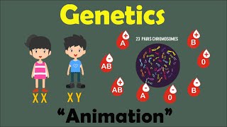 GENETICS  Biology Animation [upl. by Ferrell]