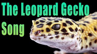 The Leopard Gecko Song  Reptile Raps [upl. by Alon]