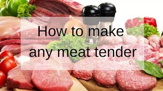 How To Tenderize ANY Meat [upl. by Ikiv]