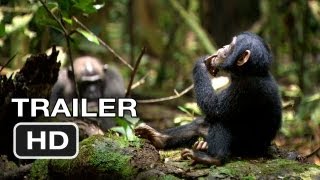 Chimpanzees Sophisticated Use of Tools  BBC Studios [upl. by Veda]