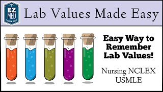 HEMATOLOGY INTERPRETING BLOOD TESTS by Professor Fink [upl. by Tammy]