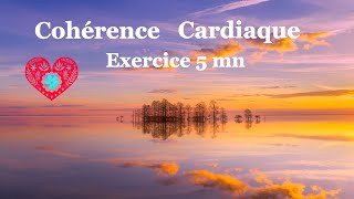 💖 Cohérence Cardiaque Exercices 5 mn n°2 [upl. by Ynatsed]