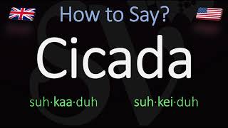 How to Pronounce Cicada British Vs American Pronunciation  Spanish [upl. by Season]