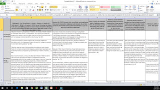 How to Create a Literature Matrix Excel [upl. by Caldeira]