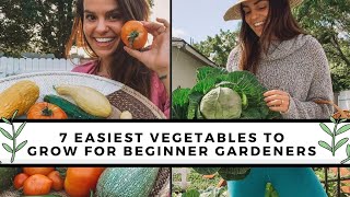 7 Easiest To Grow Vegetables For Beginners  Gardening 101 [upl. by Ahsea]