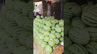 Jailaddin All fruit shopNear bharatamata board cl Nandyal Contact 79898949629440307263nandyaltimes [upl. by Ruddy]