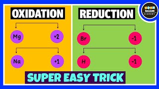 Oxidation and Reduction Reactions [upl. by Steven]