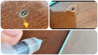 ELIMINAR POLILLA DE MADERA  REMOVE WOOD MOTH [upl. by Phyllis]