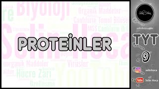 5 Proteinler [upl. by Enoob]