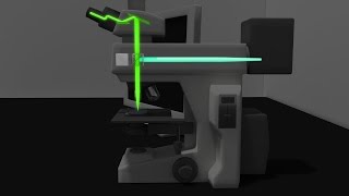 Fluorescence Microscopy Animation [upl. by Odanref]