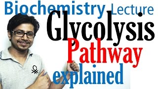 Glycolysis biochemistry [upl. by Kcoj]