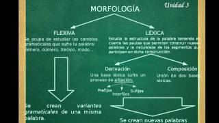 Introducción a la Morfología [upl. by Ainwat791]