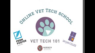 All about Online Vet Tech School [upl. by Nanette]