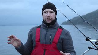 Shore fishing in Norway for plaice [upl. by Aisan]