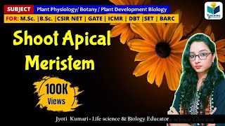 SHOOT APICAL MERISTEM SAM  CSIR NET  PLANT BIOLOGY [upl. by Jorgensen]