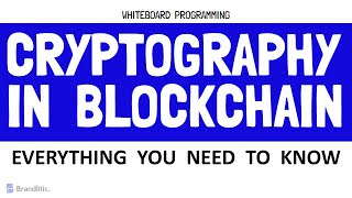 Introduction to Cryptography in Blockchain Explained  Blockchain Cryptography [upl. by Assira311]