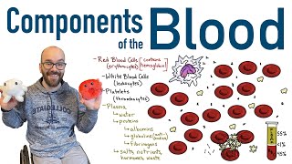 Components of Blood [upl. by Rhodes]