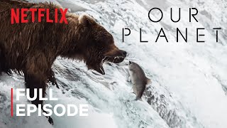 Our Planet  Fresh Water  FULL EPISODE  Netflix [upl. by Salomon]