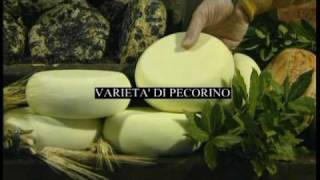 Making and tasting Pecorino cheese in Pienza Tuscany [upl. by Acinonrev]