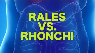 Rales vs Rhonchi  USMLE [upl. by Rozalin499]