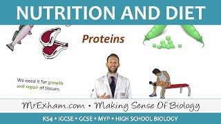 Nutrition and Diet  GCSE Biology 91 [upl. by Ahsina]