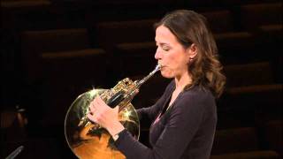 Berliner Philharmoniker Master Class  Horn [upl. by Nani]