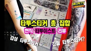 타투핫개론 타투스티커 전 품목 집합｜타투이스트 가 직접 리뷰 퀄리티 대박｜타티스트 vs 인스턴트 타투vs 레이지 먼데이 비교 ｜ [upl. by Akelam165]