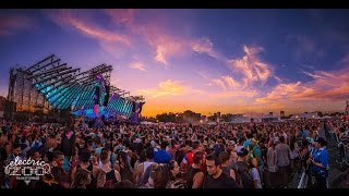 Electric Zoo Transformed  Official Aftermovie [upl. by Nasya657]