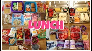 Summer CampSchool Lunch Ideas 🍎 Week 19  Sarah Rae Vlogas [upl. by Tterrab]