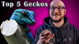 Top 5 BEST Pet Geckos [upl. by Bartle]