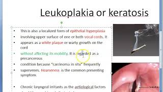 ENT 359 a Leukoplakia Keratosis Larynx PreMalignant lesion vocal cord precancerous [upl. by Aratahc847]