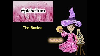 Epithelium The Basics [upl. by Eecyal]