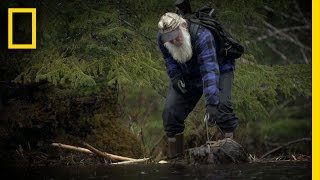 Busy Beaver Trapping  Port Protection [upl. by Acinorev318]