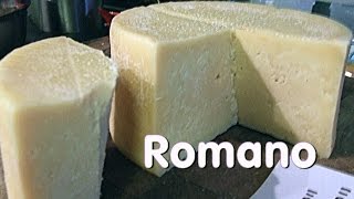 Making Vaccino Romano Cheese [upl. by Nutter643]