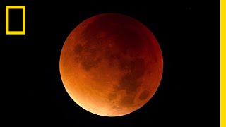 Lunar Eclipse 101  National Geographic [upl. by Say]