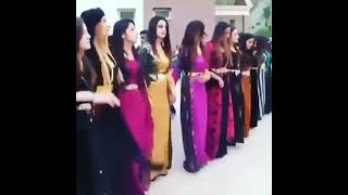 Kurdish WeddingŞexaniya OremariyanKurdish Girls Dance [upl. by Rafaelita]