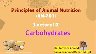 Lecture  10 CarbohydratesClassification [upl. by Jania279]