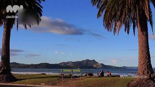 The Coromandel New Zealand [upl. by Ringler]