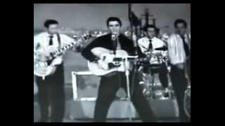 Elvis Presley Heatrbreak Hotel Live 1956 [upl. by Marilee]