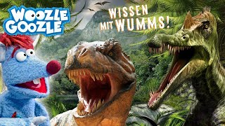 ALLES über DINOS l WOOZLE GOOZLE [upl. by Wawro]