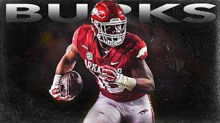 Treylon Burks 🔥 Arkansas Highlights ᴴᴰ [upl. by Isyed]