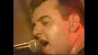 The Meteors  Little Red Riding Hood Live in The Hummingbird Club Birmingham UK 1988 [upl. by Supen16]