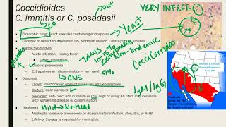 Coccidioides ParacoccidioidesTalaromycosis Penicillium [upl. by Schargel]