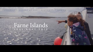 Farne Islands  Seal Boat Tour [upl. by Dawes]