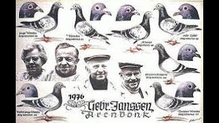 Racing Pigeon History  The Janssen Brothers [upl. by Naejeillib]