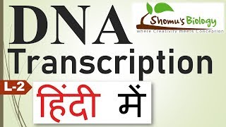 DNA transcription in Hindi [upl. by Brena861]