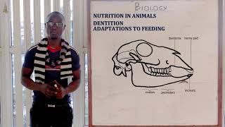 18 Nutrition in Animals Biology Form 1 [upl. by Yrrum]